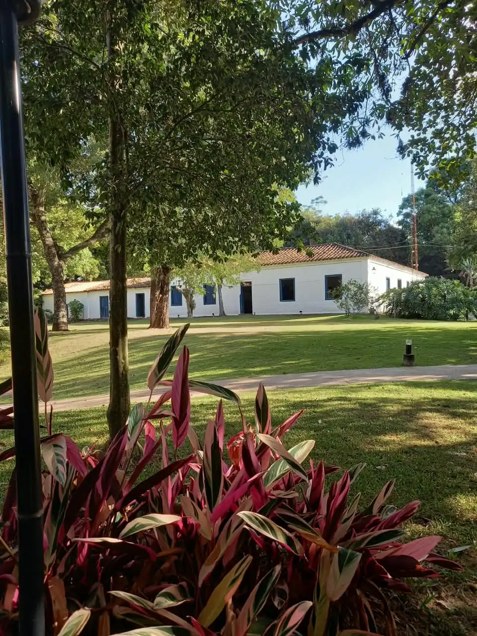 A casa vista do jardim, com folhagens coloridas em primeiro plano e o gramado à frente